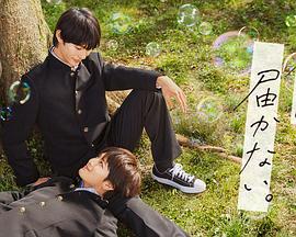 久久久国产99视频